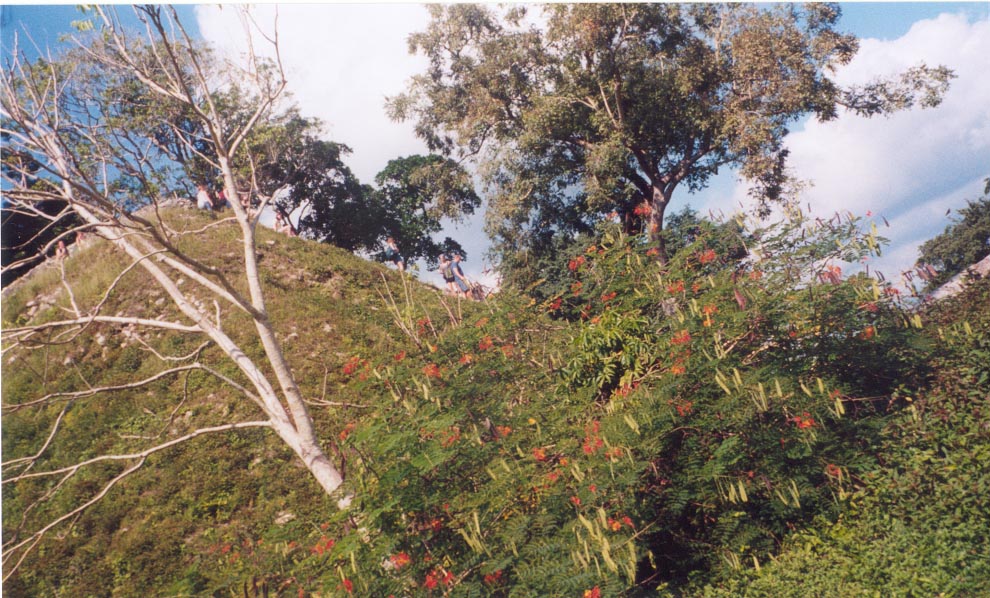 altunhatemple.jpg