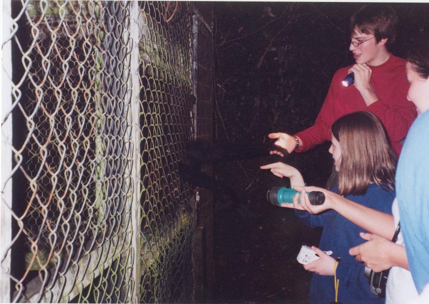 belizezoospidermonkeys.jpg