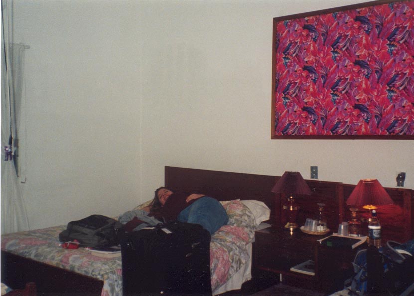 birdseyeroom.jpg