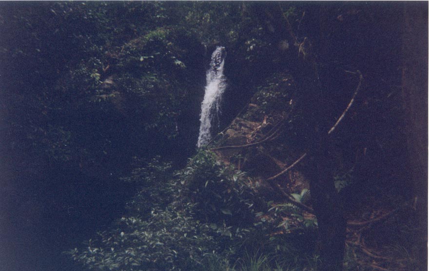 cockscombfallfromafar.jpg
