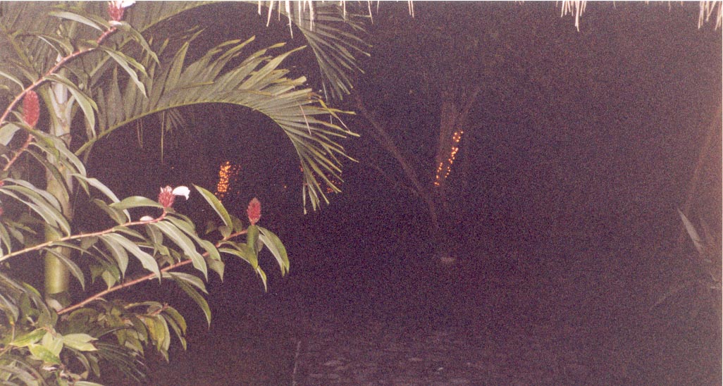 guatlodgeview.jpg