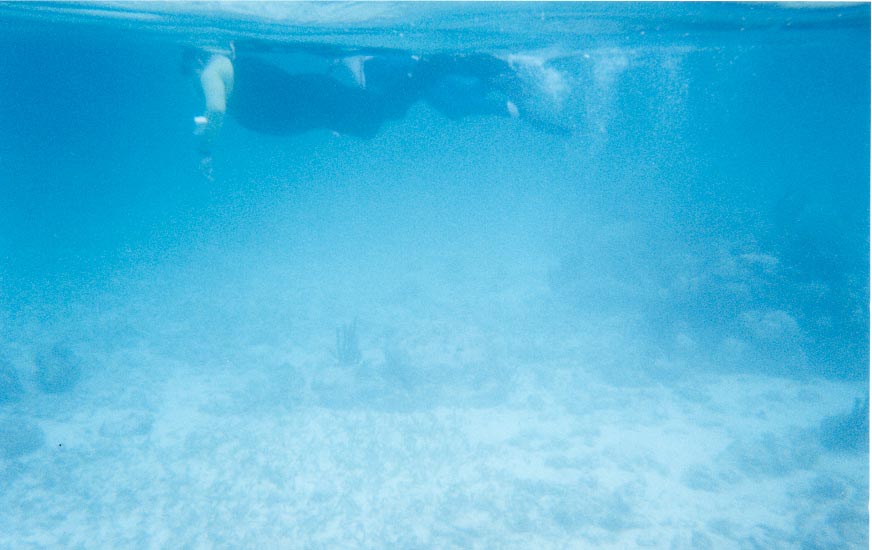 snorkeldocnlauren.jpg