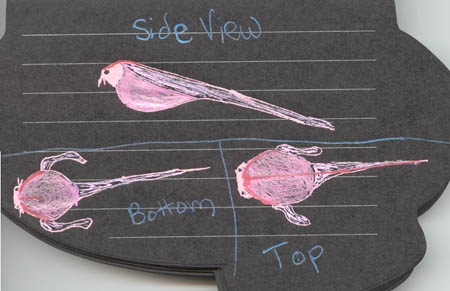 fishyjournal2.jpg
