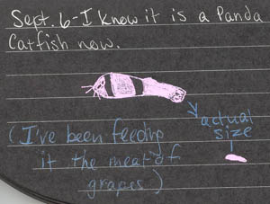 fishyjournal3.jpg