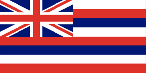 hiflag.gif